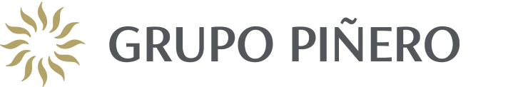 grupo pinero logo