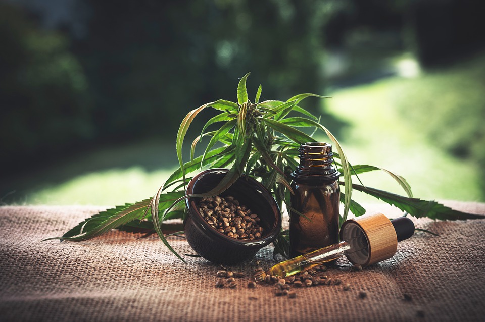 CBD oil and cannabis seeds