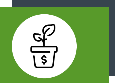 Moneyplant