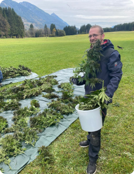 Pflanze MyFirstPlant Ernte