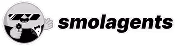 Logo featuring a stylized globe with interconnected nodes to the left of the word 'smolagents' in italicized lowercase letters.