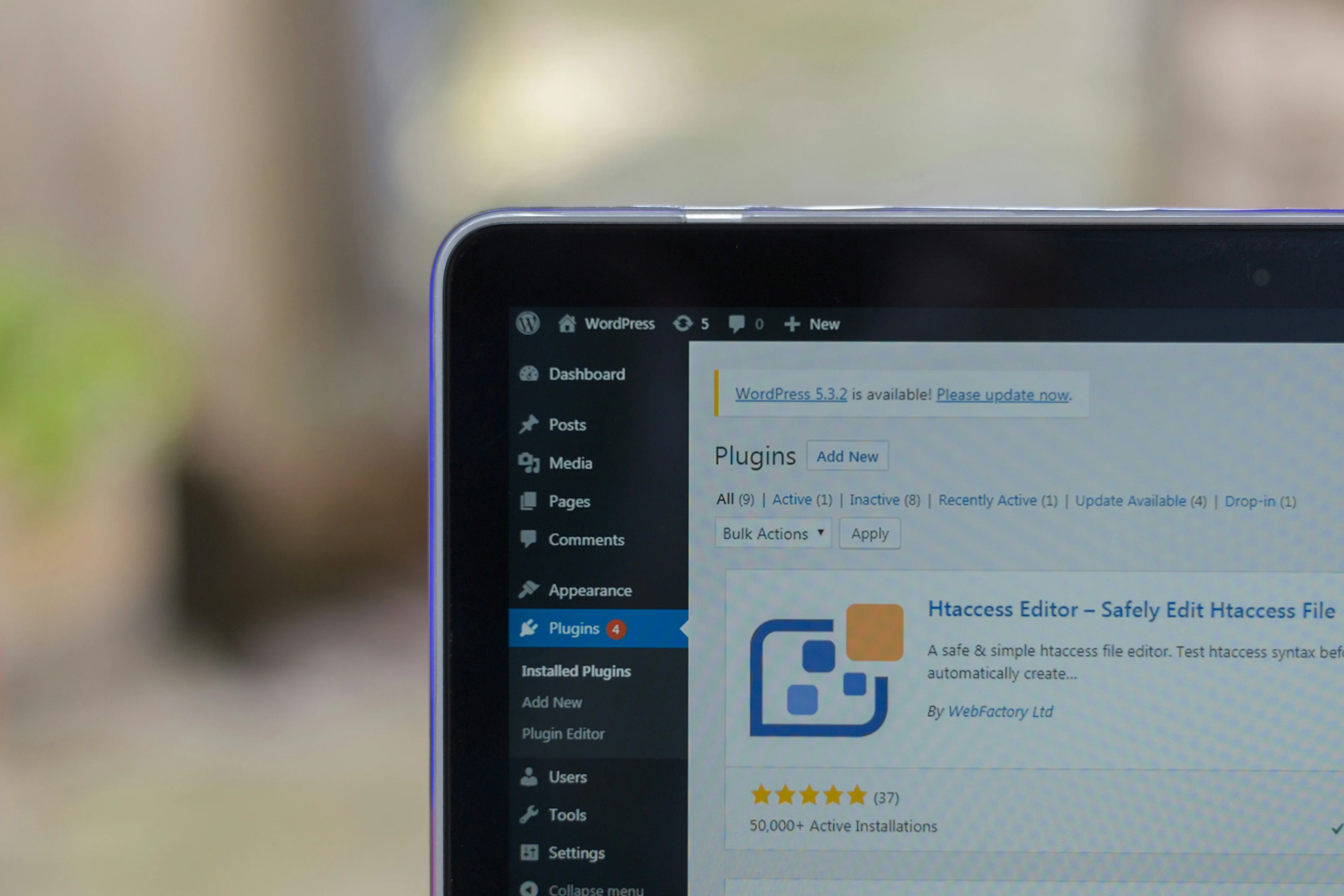 WordPress settings bar.