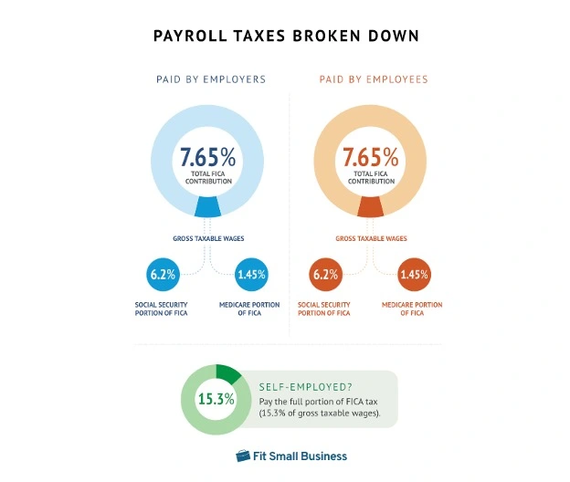 payroll taxes broken down infographic