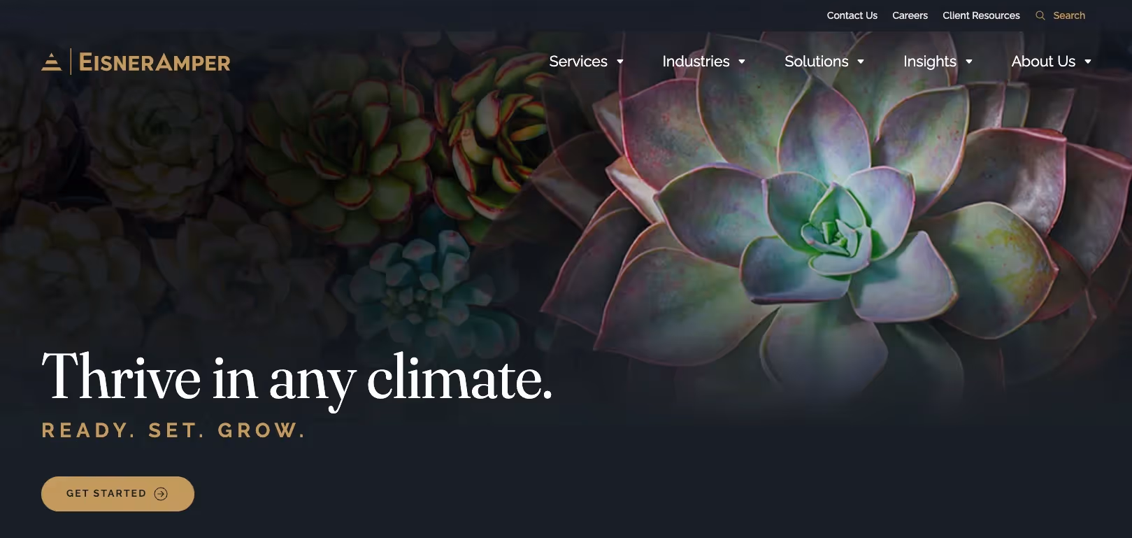 Eisner Amper's home page.