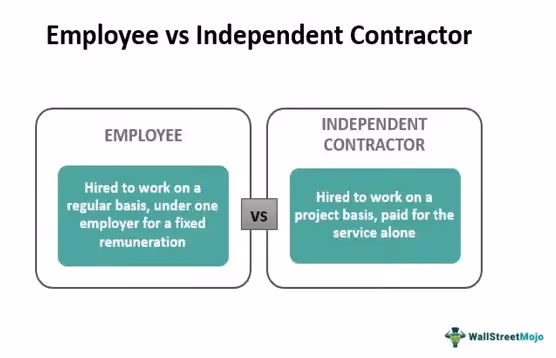 What are employee vs independent contractor hired for, infographic