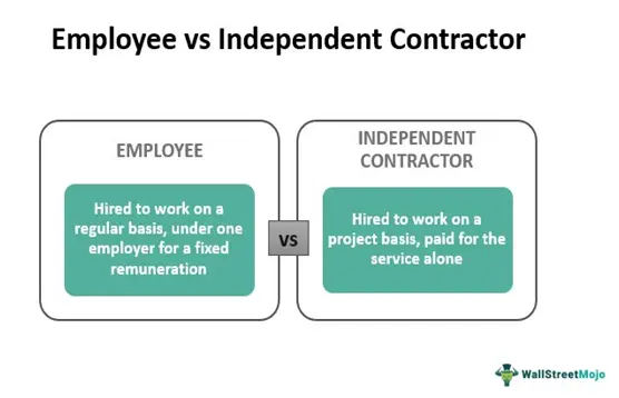 What are employee vs independent contractor hired for, infographic