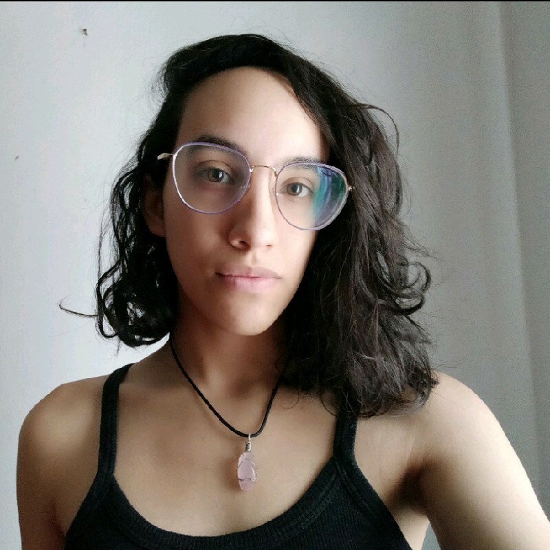 Sofia Santucho