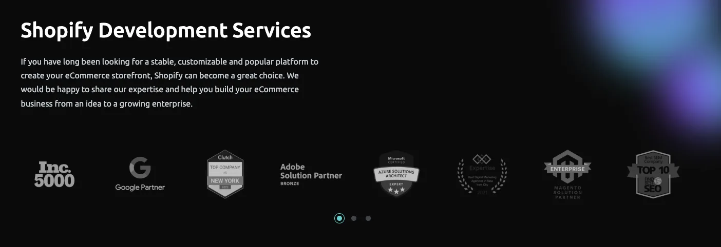 WiserBrand's home page.