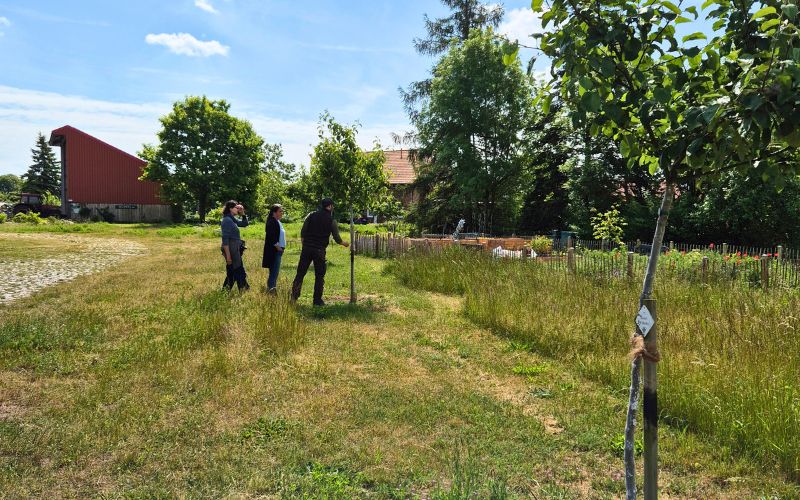 Roots & Robots Klimapraxis Land Gut Hagen Agroforst