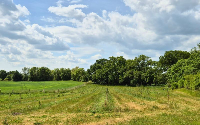 Roots & Robots Klimapraxis Land Gut Hagen Agroforst