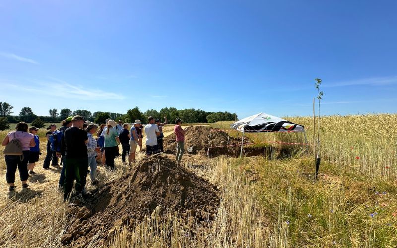 Feldtag Agroforst Roots & Robots