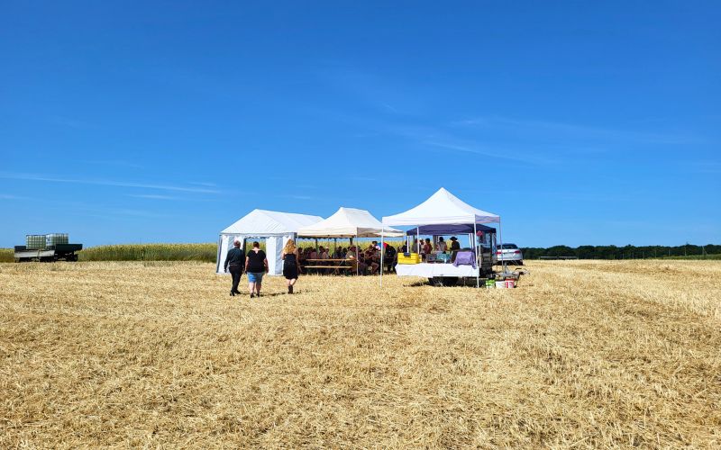 Feldtag Agroforst Roots & Robots