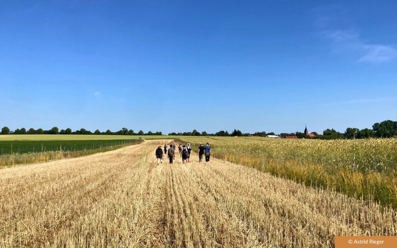Feldtag Agroforst Roots & Robots