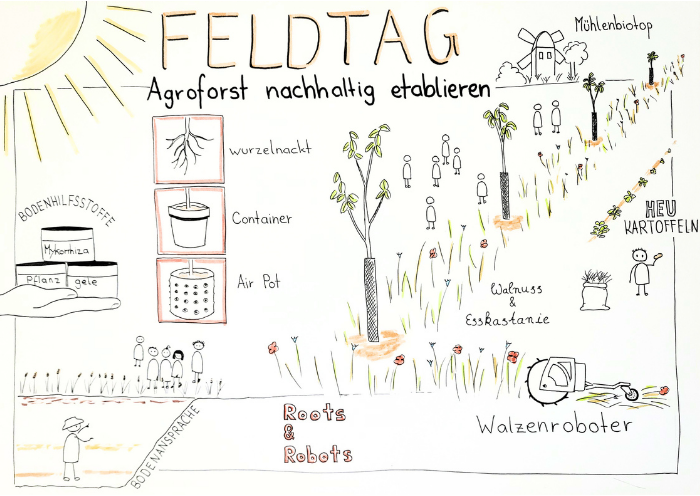 Feldtag Agroforst Roots & Robots Sketchnote