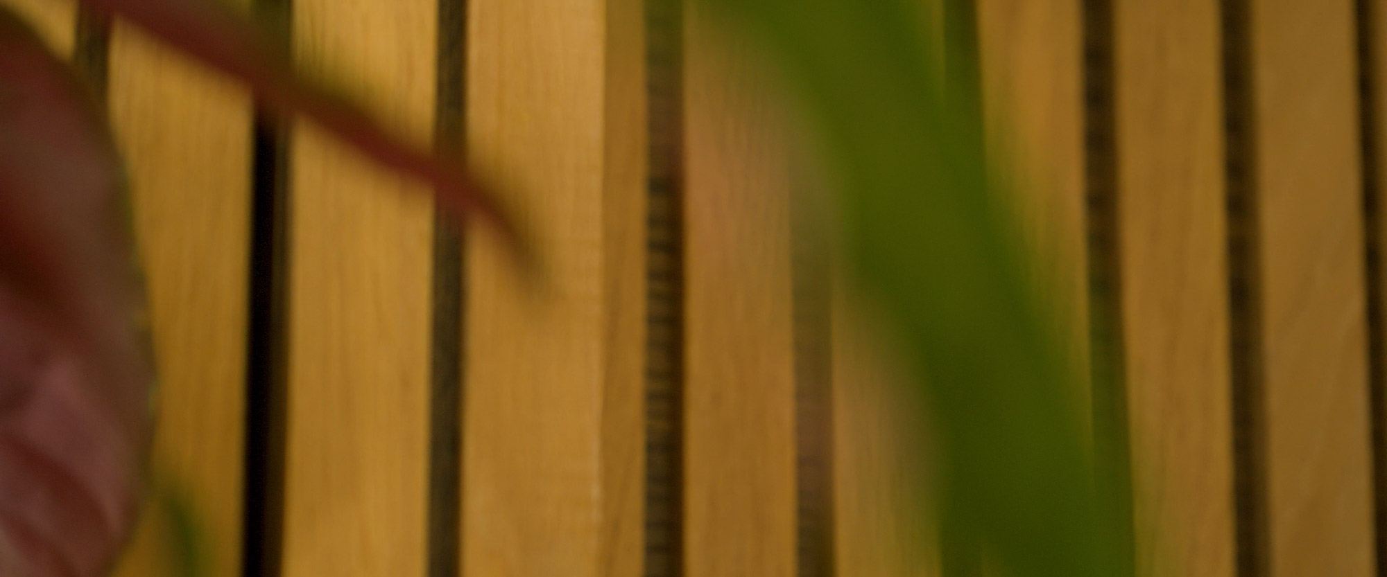 Close-up of wooden slats with blurred green and reddish plant leaves in the foreground.