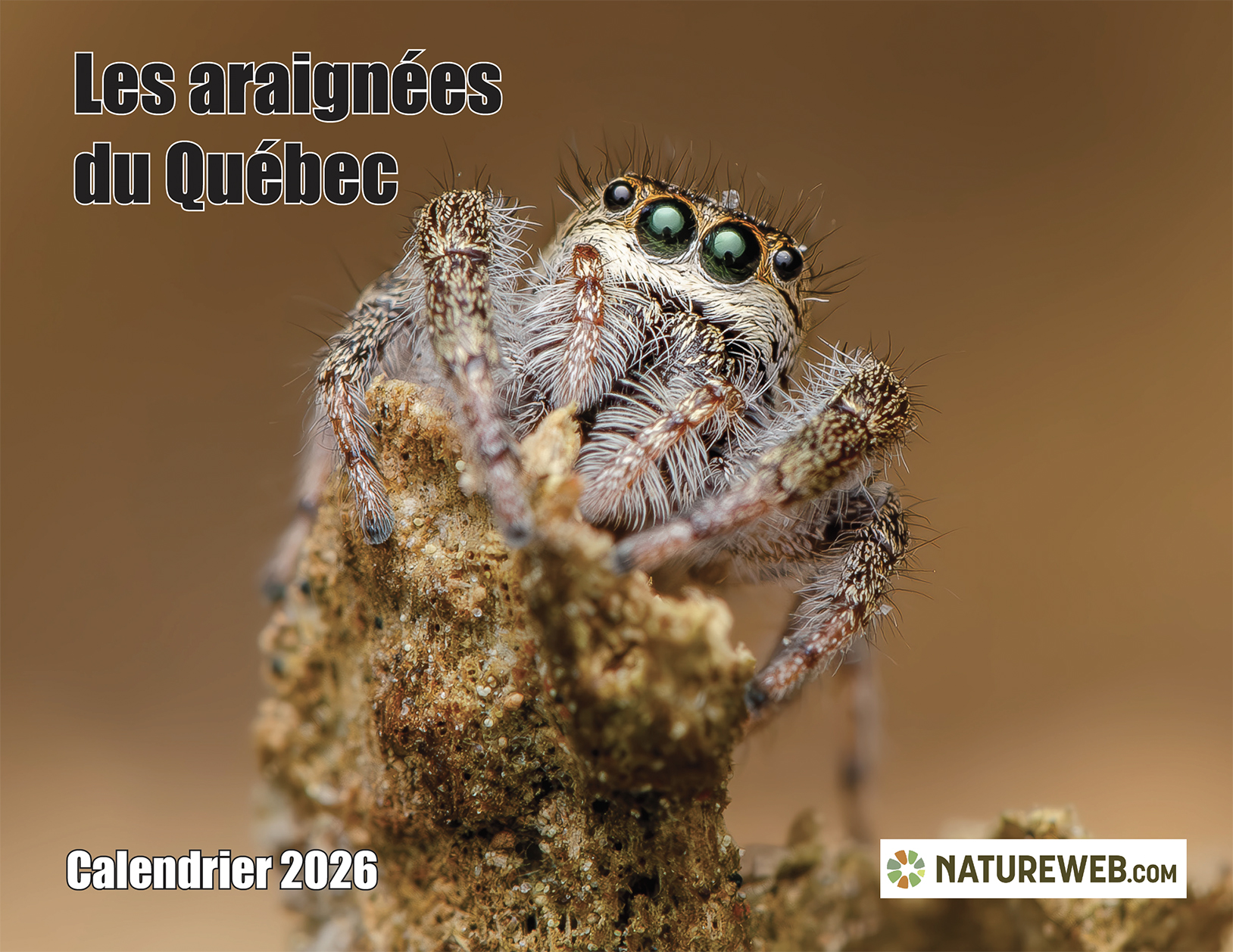 Calendrier Araignées 2026