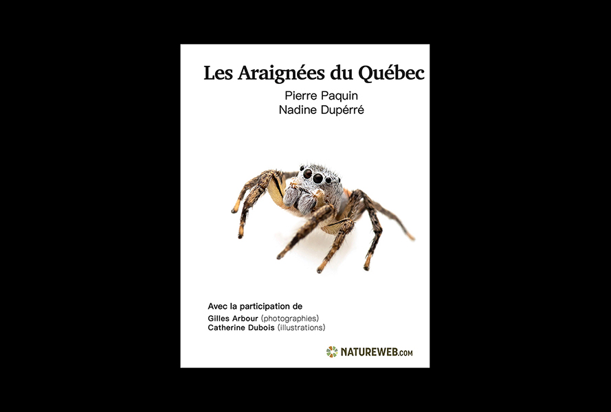 Couverture du livre Les Araignées du Québec