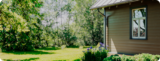 How to identify bird eggs in your garden
