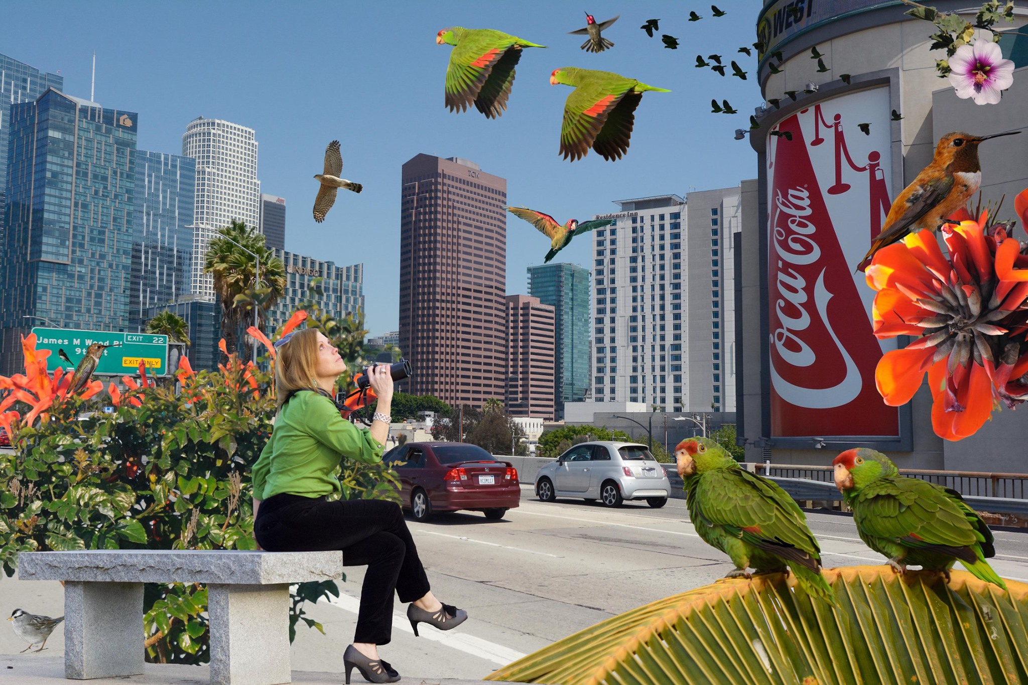 Therapy With Birds: Meet Holly Merker