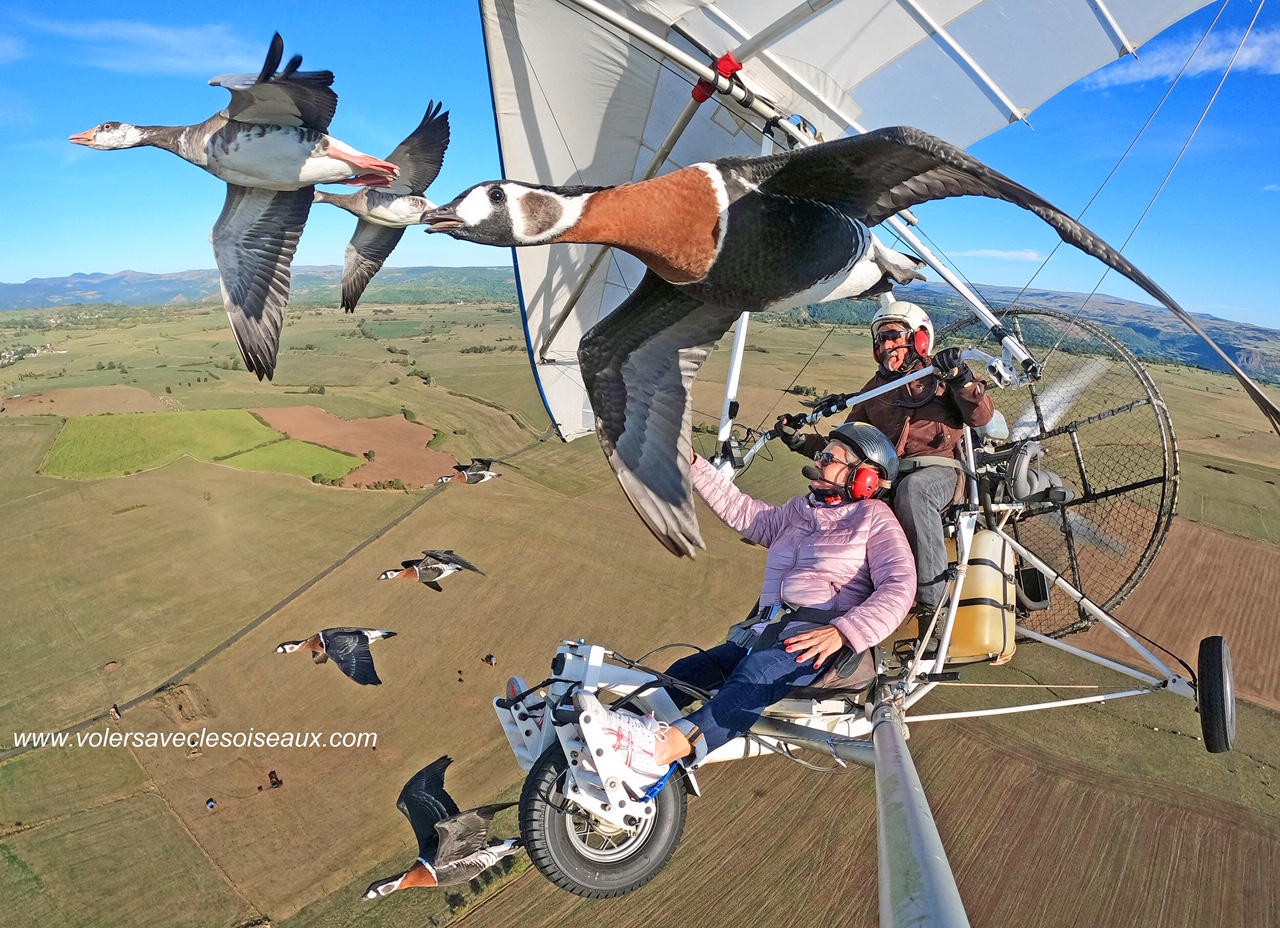 Flying With Birds: Meet Christian Moullec