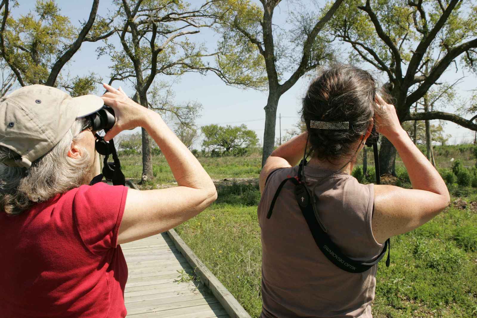 Discover The Art Of Birding Etiquette