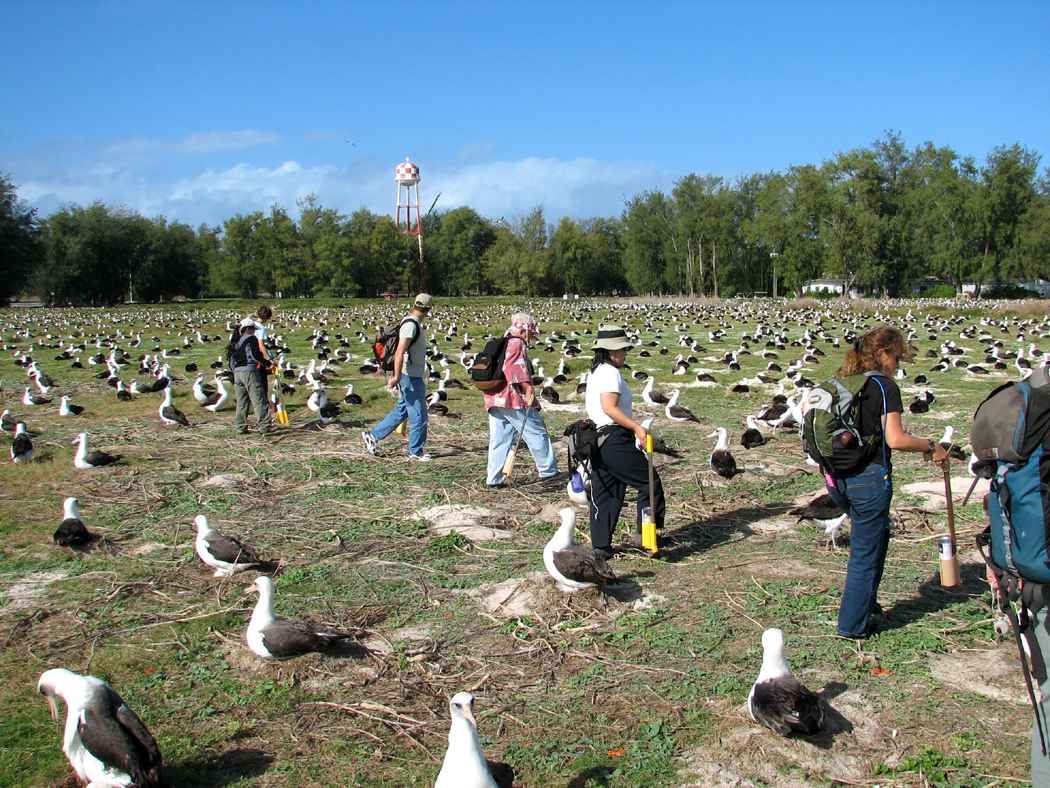 Why Counting Birds Counts - Part 1: The North America