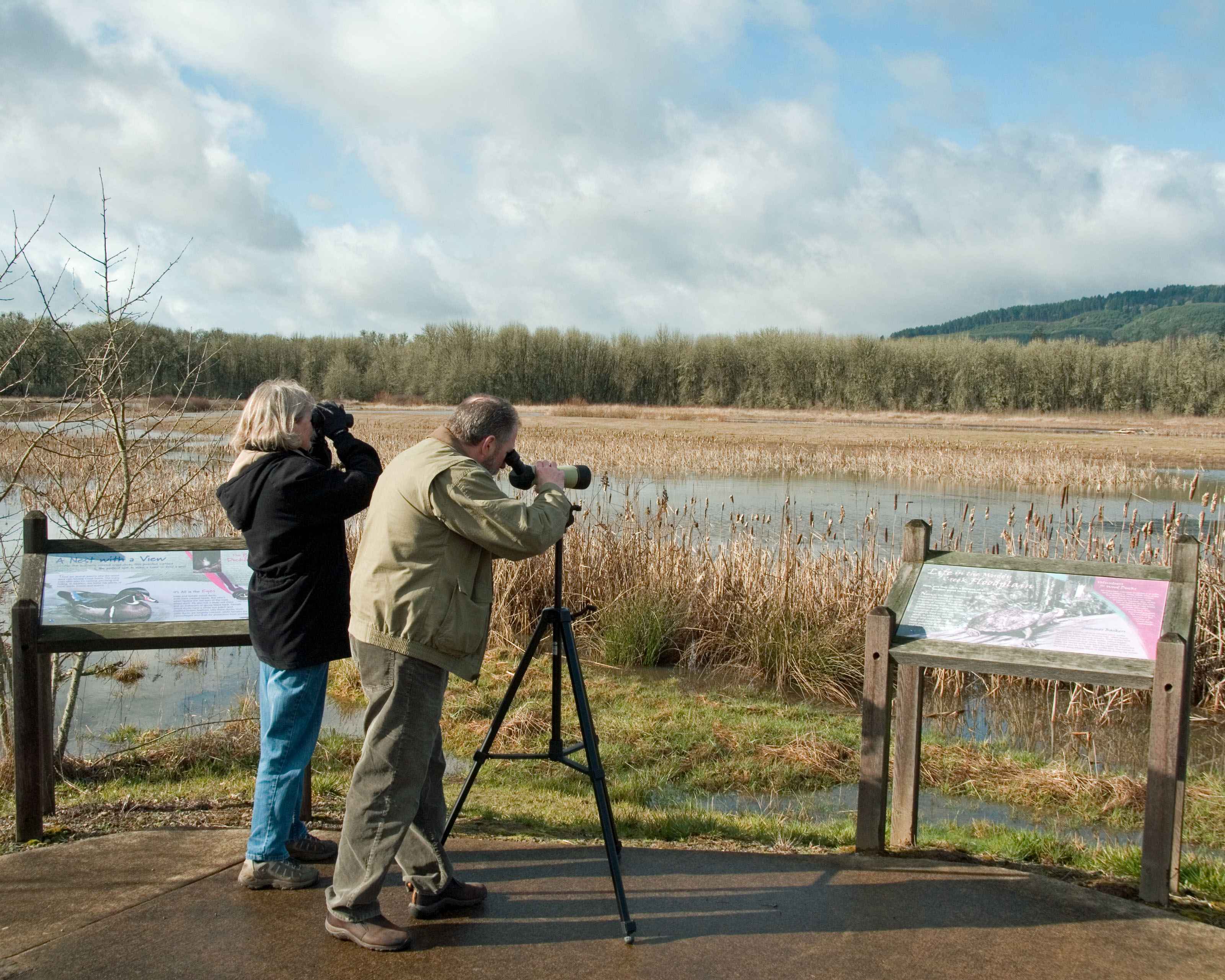 Why Counting Birds Counts - Part 2: Europe