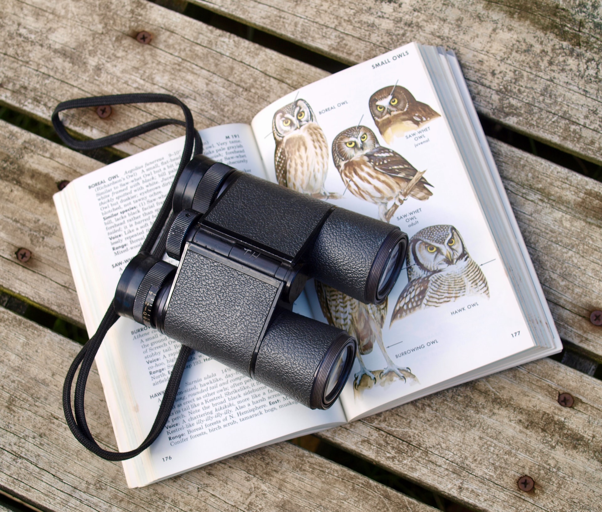 Introduction to Why Counting Birds Counts 