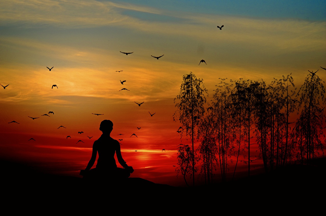Birds and Mindfulness