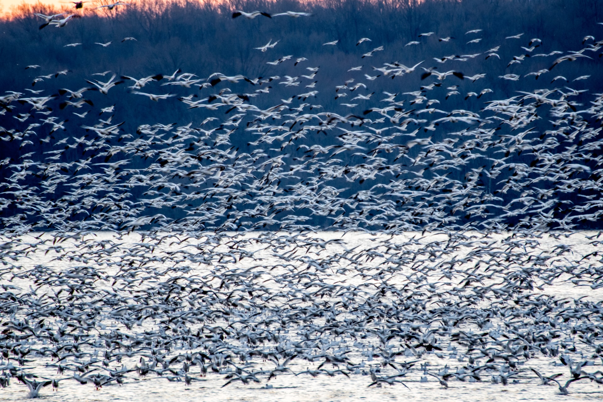 The Perilous Journeys That Get Harder Every Year