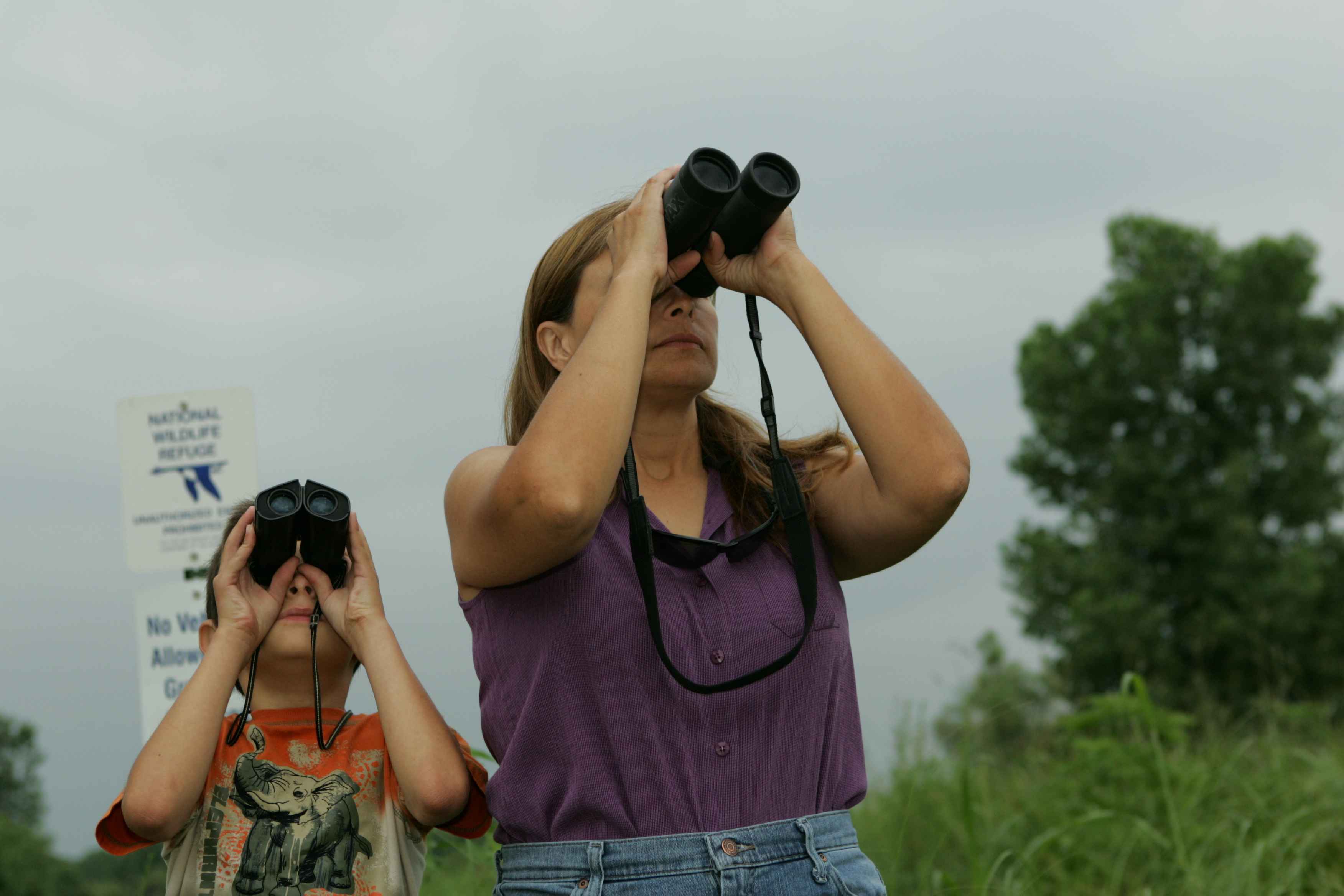 What Time Of Year Should I Birdwatch?