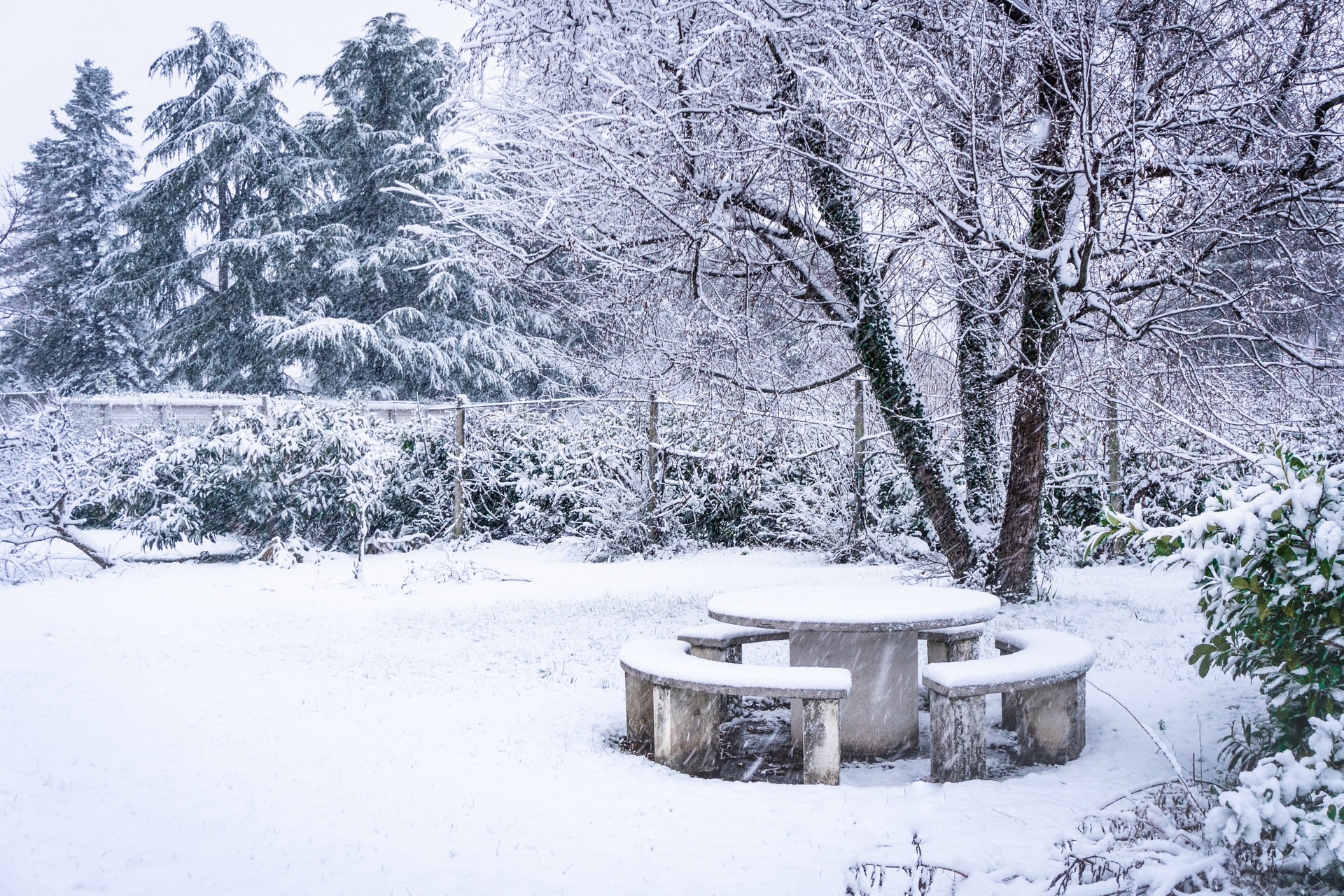 Prepare Your Winter Garden For The Spring Migration