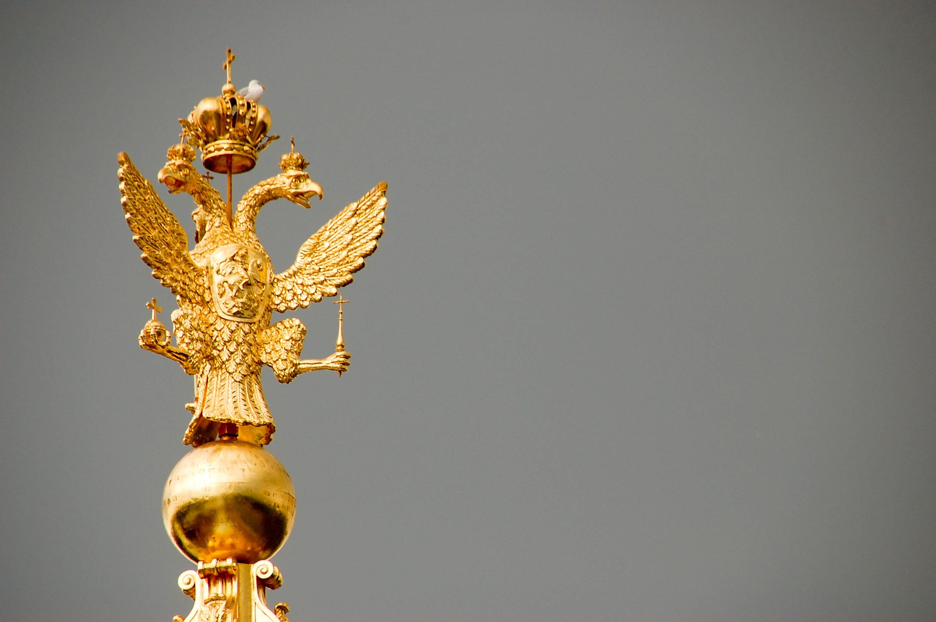 Birds In Heraldry And the Meaning Behind Them