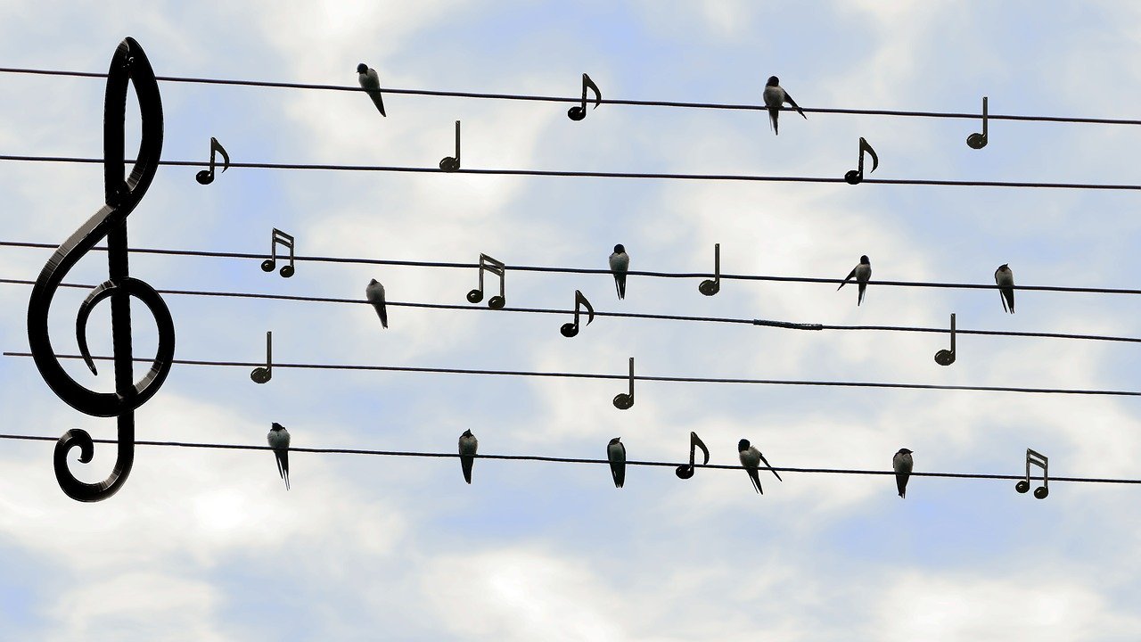 Music Takes Flight – The Music Inspired and Made By Birds