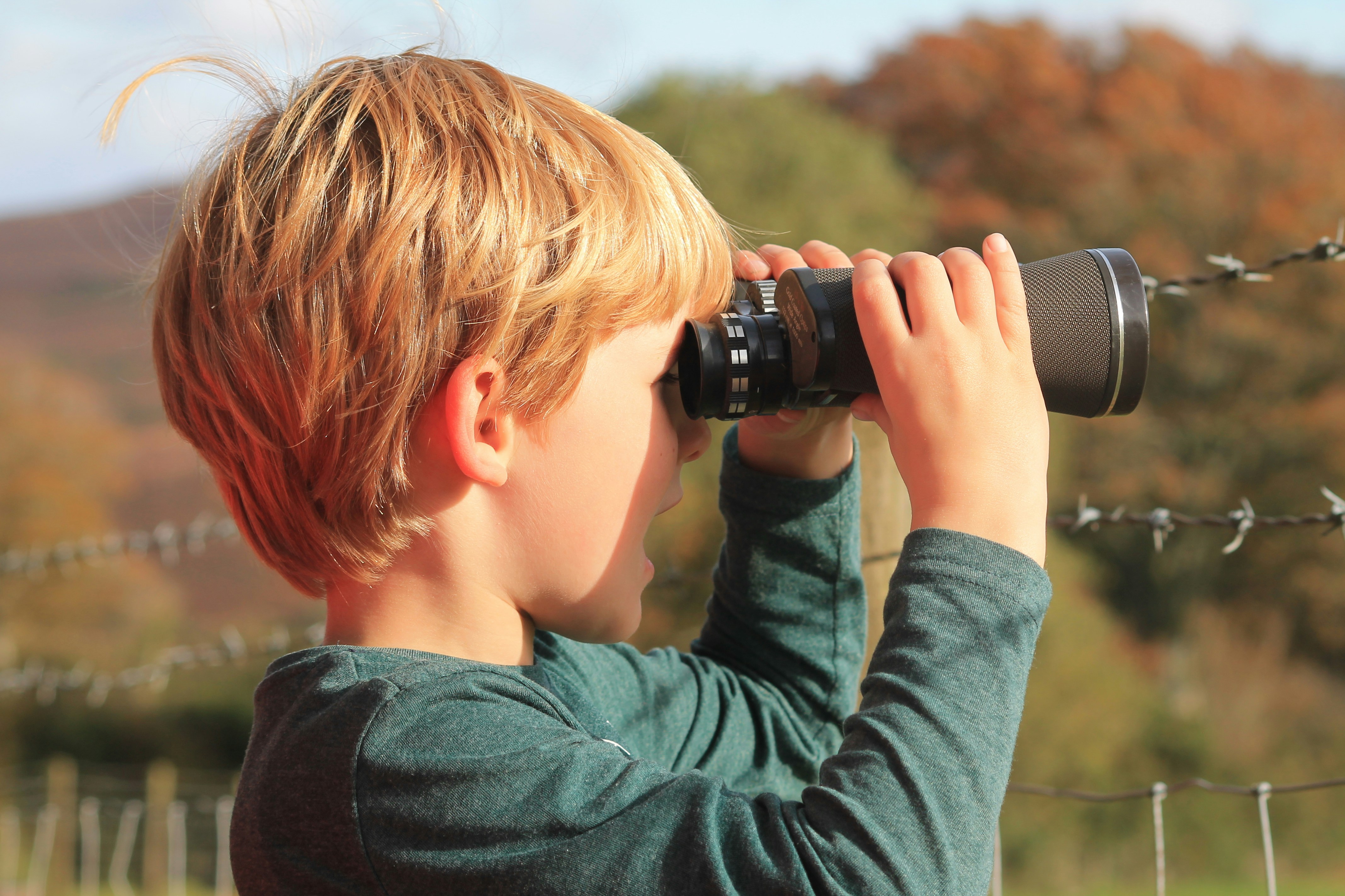 How to Make Birdwatching Fun for Kids: 15 Easy Backyard Games & Activities
