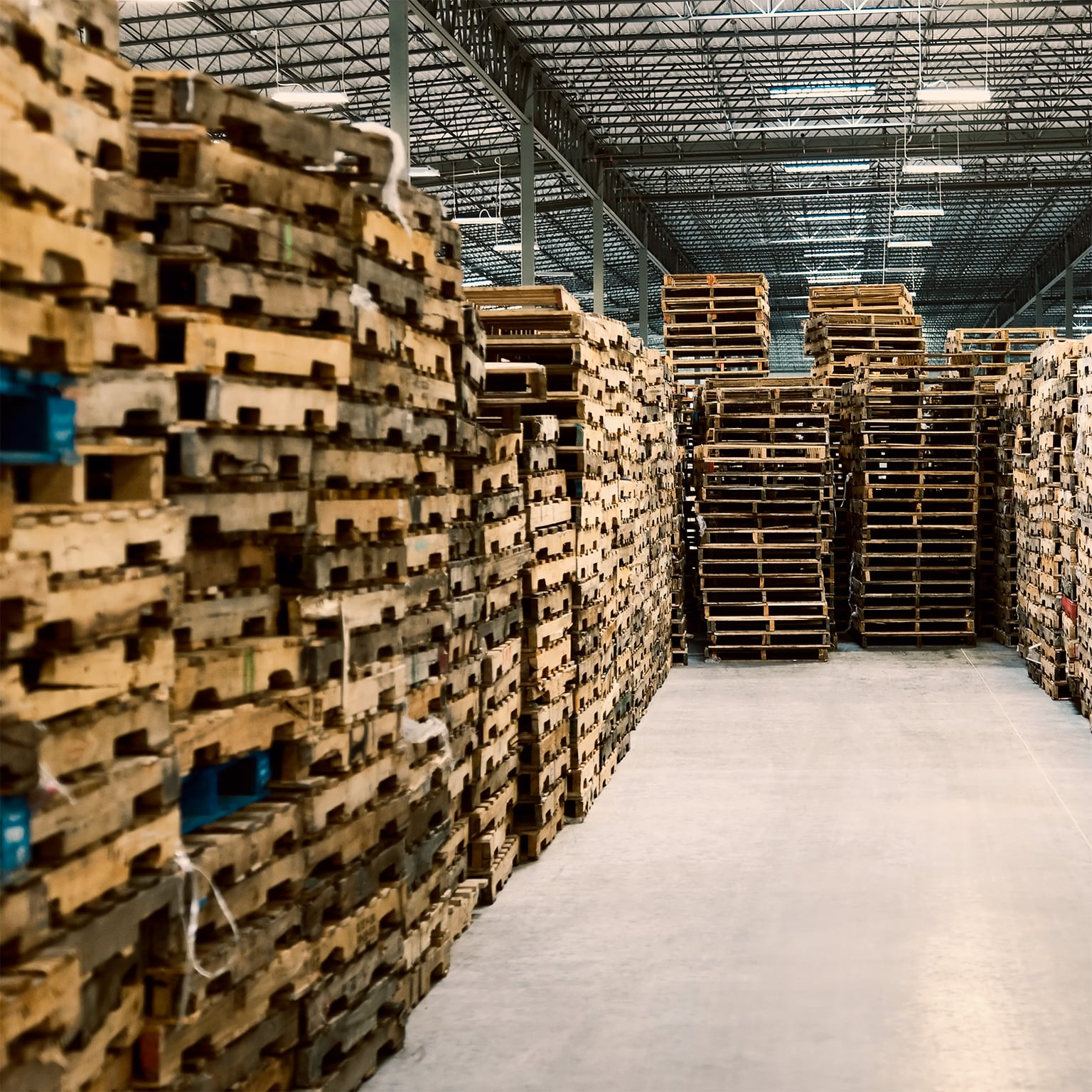 Tall, uneven stacks of used wooden pallets crammed together inside a large warehouse, illustrating cluttered and disorganised storage.
