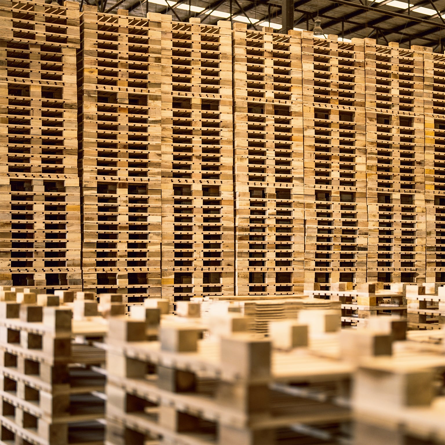Tall, uniform columns of new wooden pallets stacked precisely in a warehouse, demonstrating orderly and efficient storage.