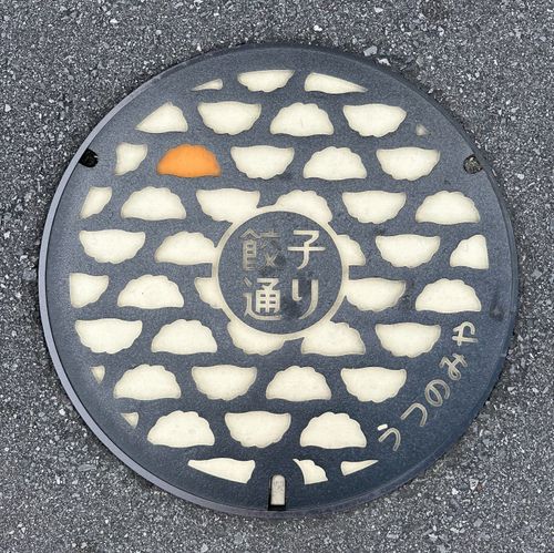 A collection of personal photos showing travel, nature, food, pets, and cultural experiences outside of work