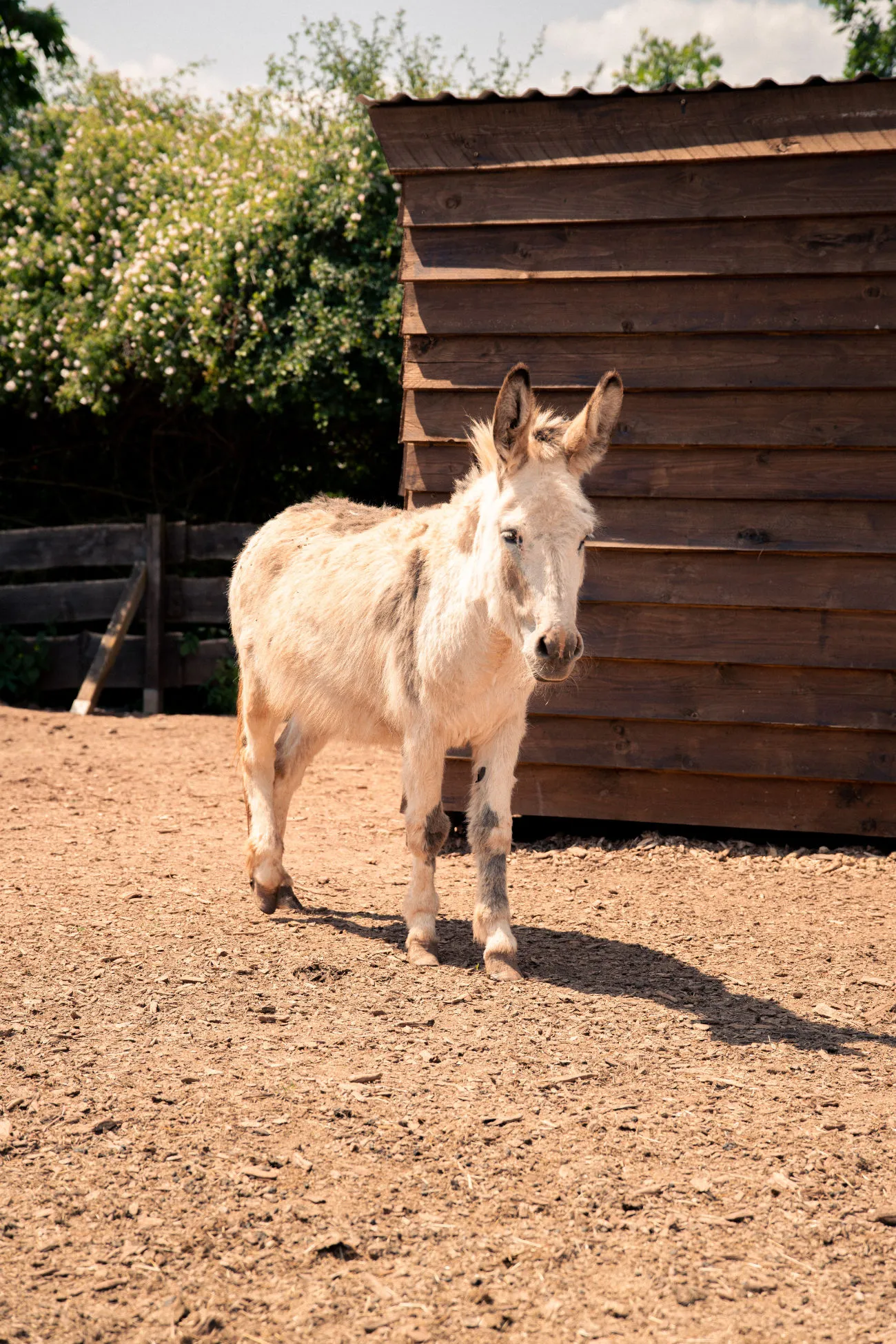 H.A.U.S.27 GmbH Einrichtung – Außenanlage und Spielbereich