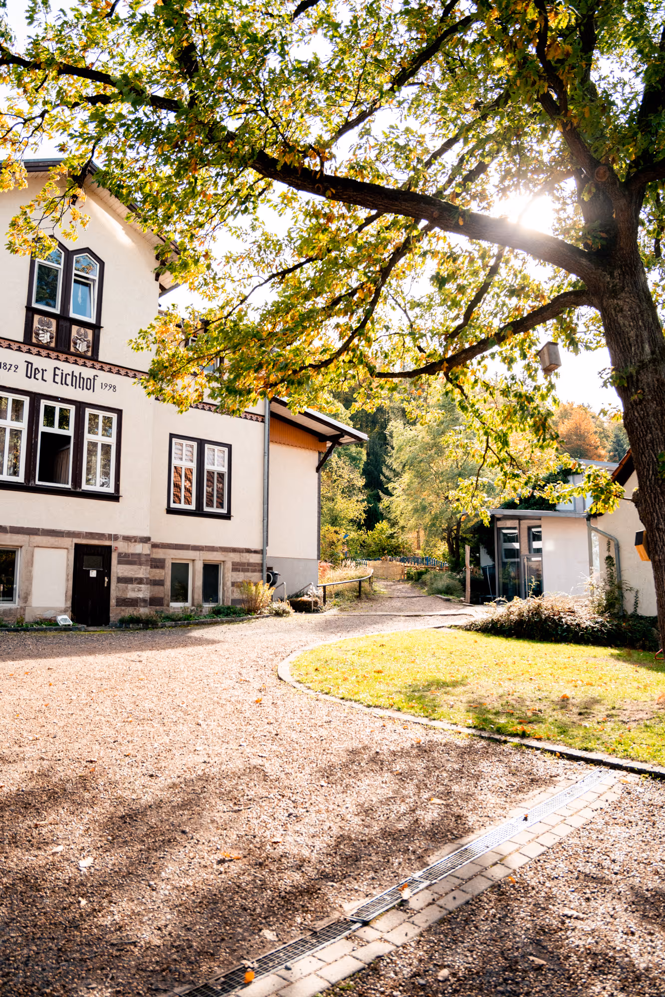 Sonnenlicht, das durch einen großen Baum mit grünen und gelben Blättern fällt, in der Nähe des Gebäudes Der Eichhof mit weißen Wänden und dunkelbraunen Fensterrahmen.