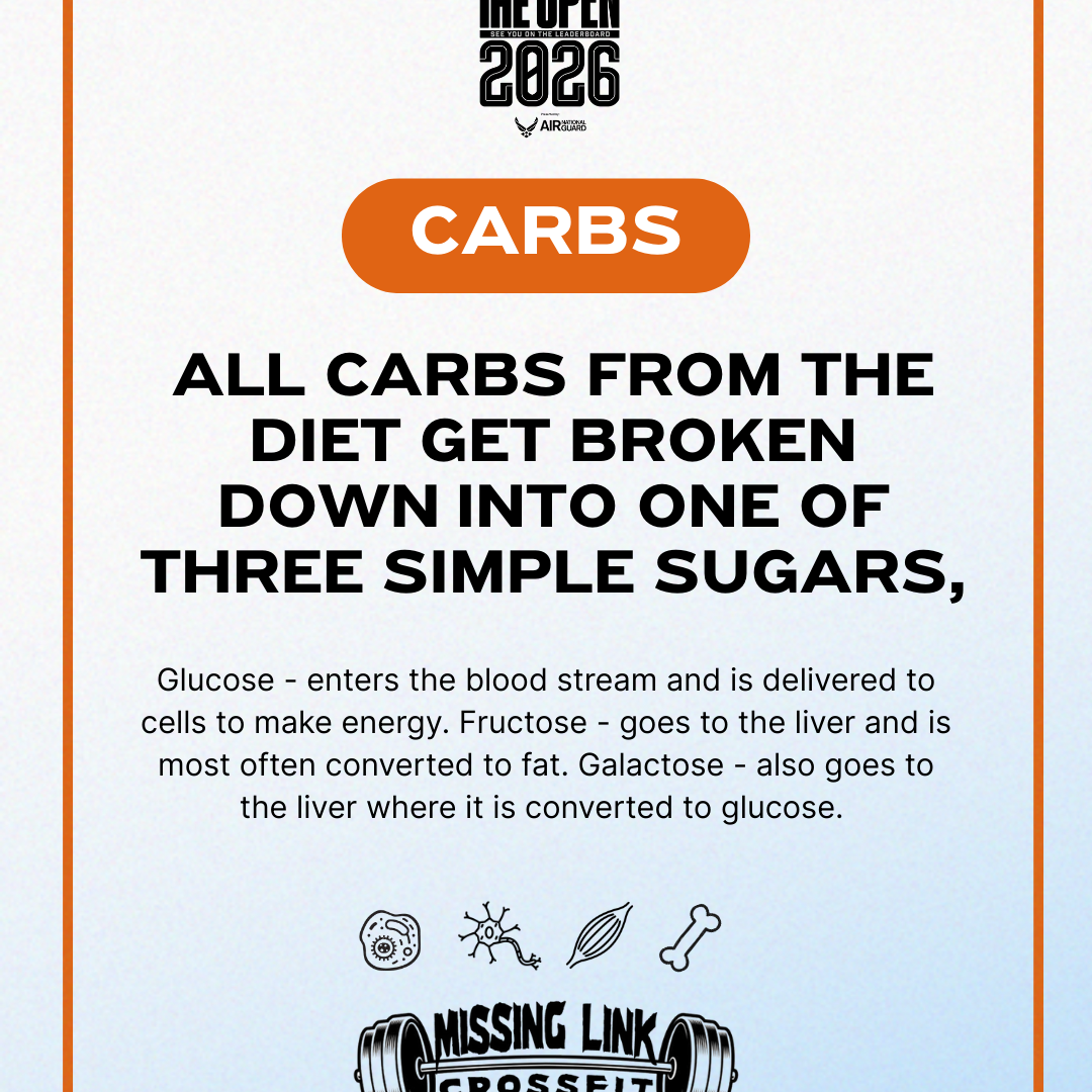 Macronutrients, Part 3: Understanding Carbohydrates (Without the Confusion)