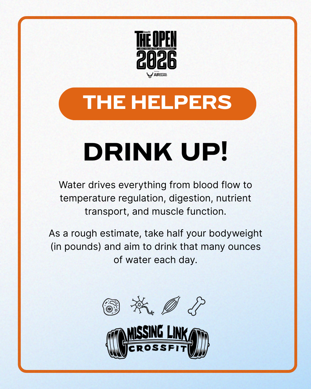 Creatine: Not Just for Lifting Heavier — But for Thinking Sharper, Too