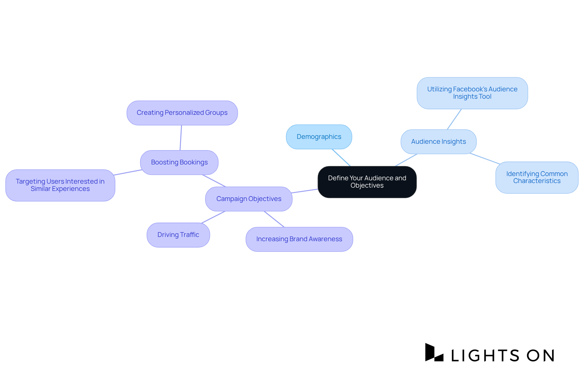 The center of the mindmap shows the main theme, and the branches illustrate the different aspects you need to consider when defining your audience and setting campaign goals.