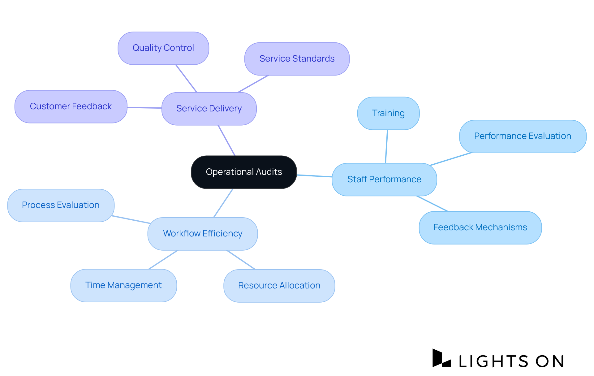 The central node represents the concept of operational audits. Each branch shows the different areas being assessed, helping you see how they relate to enhancing efficiency and performance.