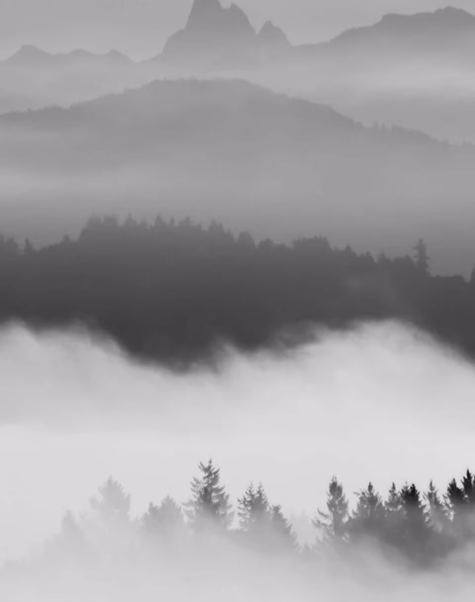 Image of forestry in Langley, Fraser Valley