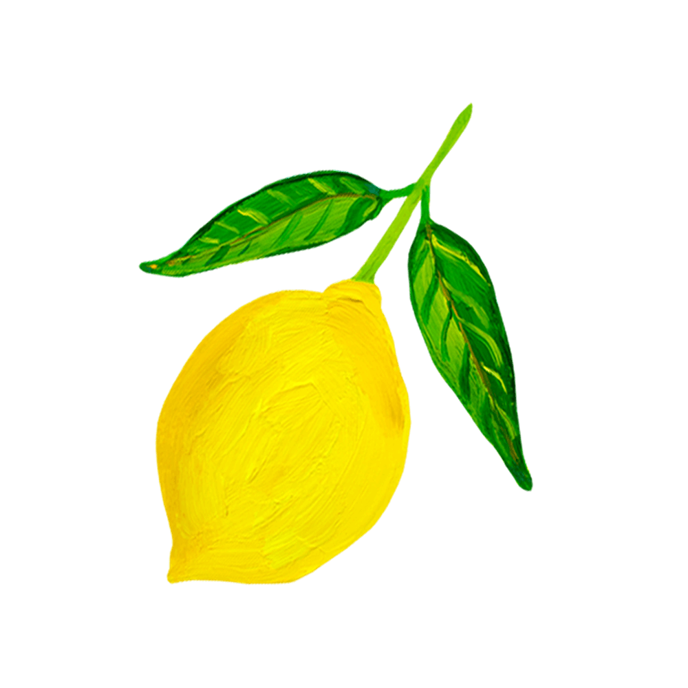 lemon illustration by alice straker