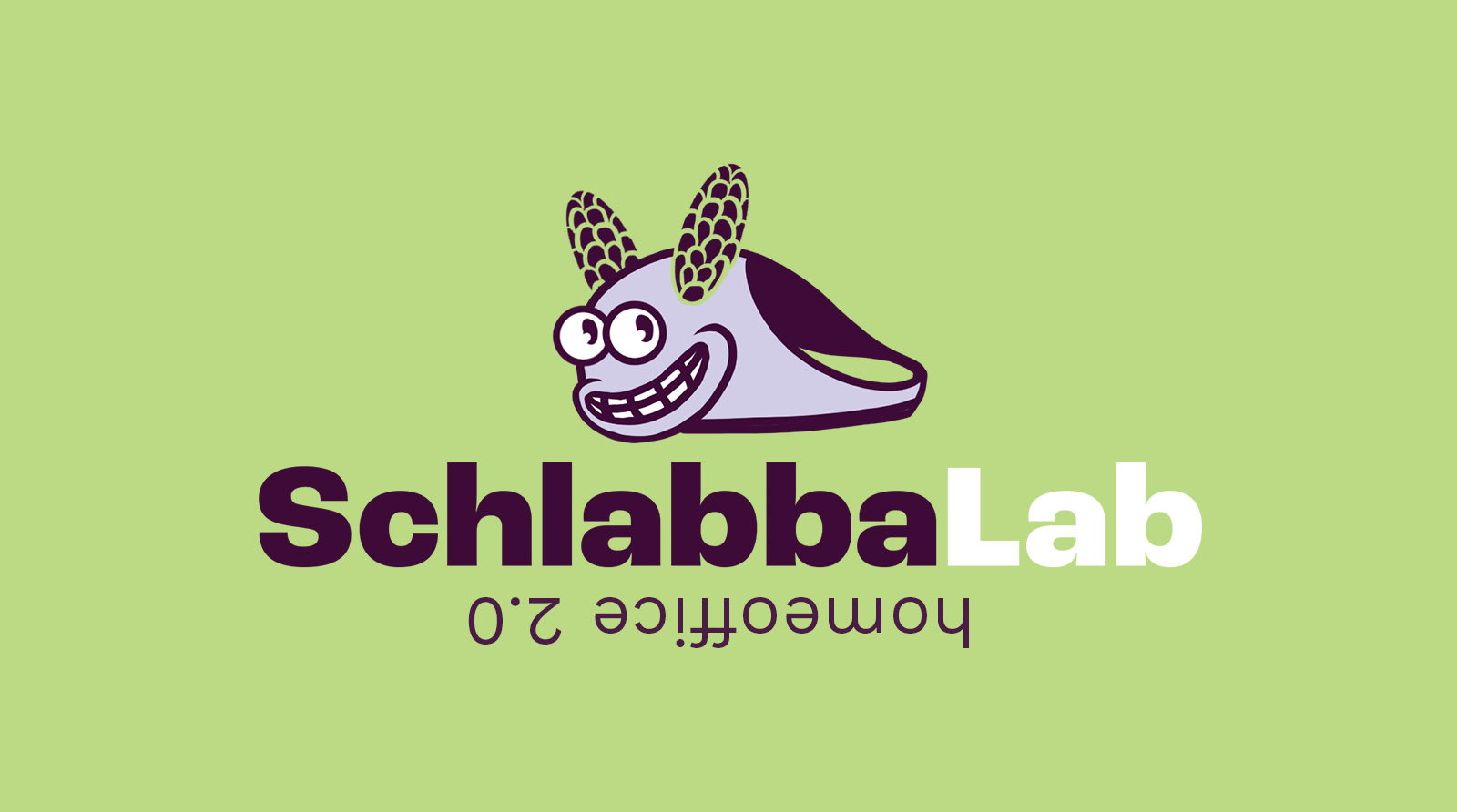 SchalbbaLab Project
