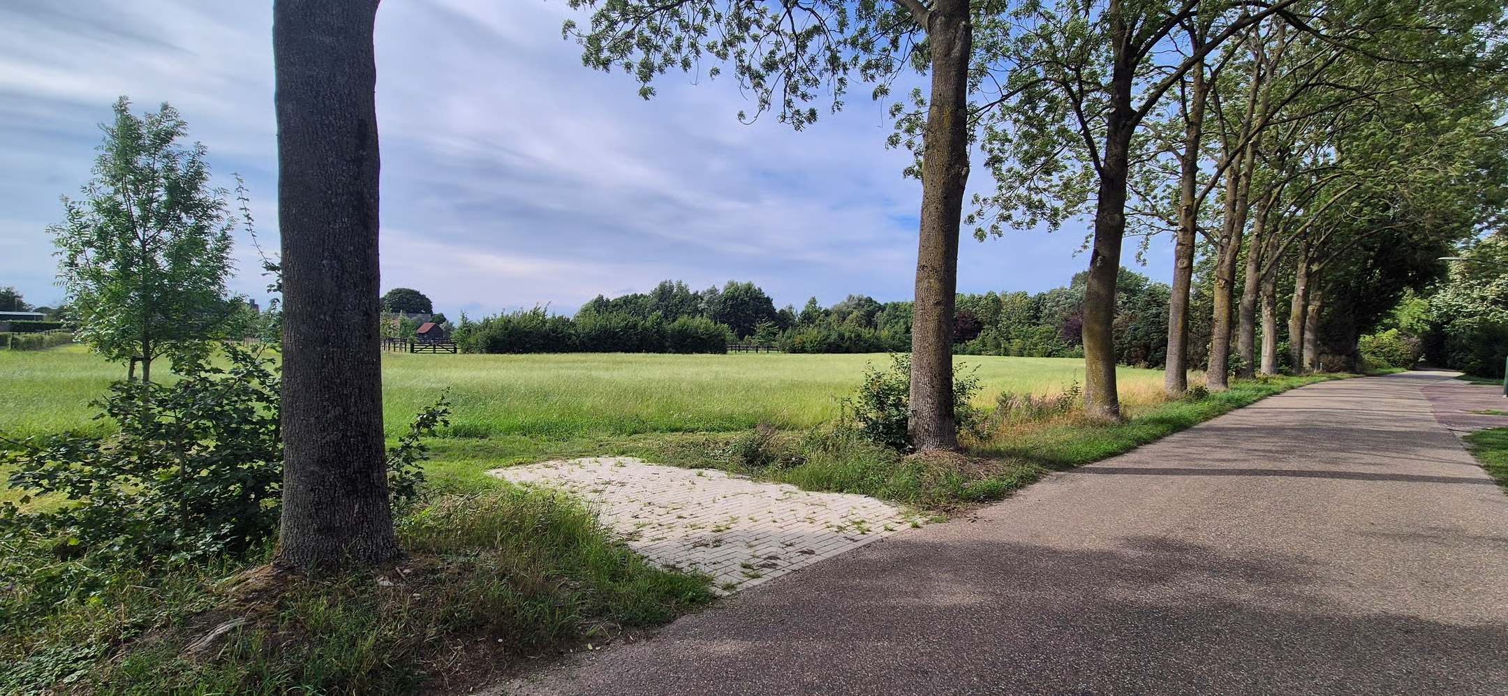 Onteigening van agrarische grond: meer dan alleen een zakelijke beslissing