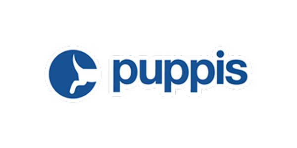 Puppis