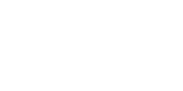 VIK